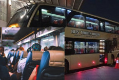 Berlibur Jadi Tenang! Ini Dia Tips Memilih Bus untuk Perjalanan Liburan, Mana yang Paling Cocok?