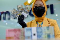 Rupiah dan Mata Uang Asia Bersinar di Akhir Pekan, Didorong Faktor Ini!