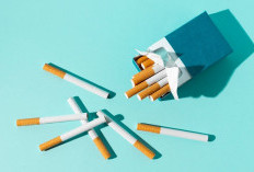 Cukai Melejit, Produksi Rokok Putih Nyungsep, Begini Penjelasan Menteri Sri Mulyani