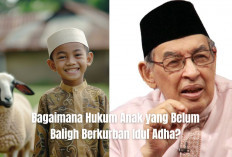 Bagaimana Hukum Anak yang Belum Baligh Berkurban Idul Adha? Simak Penjelasan Quraish Shihab Berikut