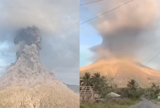Lewotobi Laki-Laki Bangkit! Erupsi Spektakuler di NTT, Ini Dampaknya bagi Penerbangan dan Warga