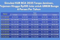 Simulasi KUR BCA 2025 Tanpa Jaminan, Pinjaman Hingga Rp100 Juta untuk UMKM Bunga 6 Persen Per Tahun