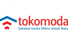 Susah Cari Investor Untuk Modal Usaha? Pinjol Tokomodal Fasilitasi Pinjaman Limit 200 Juta Bunga 0,10 Persen!
