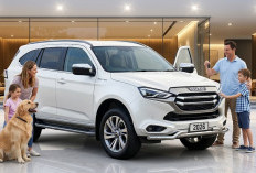 Isuzu Panther 2026: Diesel Legendaris yang Comeback dengan Gaya Premium, Siap Temani Liburan Panjang Keluarga