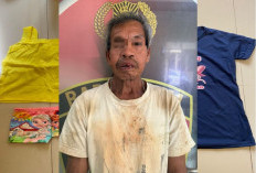 Nasron Diduga Lakukan Tindakan Tidak Senonoh Terhadap Balitas Anak Tetangganya