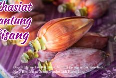 Bunda Harus Tau 8 Khasiat Jantung Pisang untuk Kesehatan, No 5 Bisa Bikin Orang Gendut Jadi Kurus Lho...