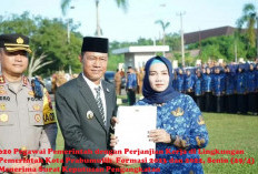 Tegas! 2025 Tak Lagi Anggarkan Gaji Untuk Pegawai Honorer Non ASN