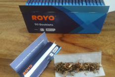 Solusi Harga Rokok Makin Mahal! Bikin Sendiri, Ini Bahan dan Cara Melintingnya