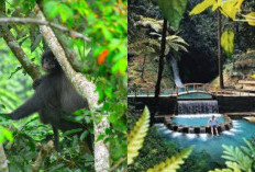 5 Wisata Alam Terpopuler di Cirebon 2025, Cocok untuk Healing dan Liburan Keluarga, Wajib Masuk Bucket List!