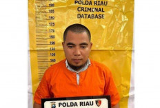 Parah! Pria Asal Rokan Hilir Manipulasi Suara Hakim MK Hasil Pemilu di Tiktok, Kok Bisa? 