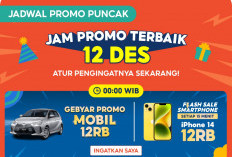 Serbu Rek! Gebyar Promo Mobil Cuma Rp12 Ribu di Puncak 12.12 Birthday Sale Shopee, Jangan Sampai Ketinggalan