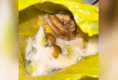 Viral! Makanan Bergizi Gratis Dibagikan Pakai Kantong Plastik, SPPG Karyasari Buka Suara 