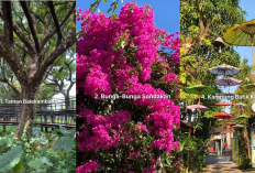4 Spot Instagramable di Solo yang Wajib Kamu Kunjungi! Nomor 3 Bikin Terpukau