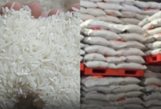 Beras Oplosan Masuk Program Sembako? Penjual Bongkar Pesanan Jumbo dari DPRD DKI