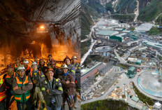 Info Loker! PT Freeport Indonesia Buka Rekrutmen di 4 Posisi dengan Penempatan di Gresik, Simak Cara Daftarnya