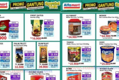Banjir Diskon! Promo JSM Alfamart 29 Maret 2024, Kurma Bayar Pakai OVO Cuma Segini... 