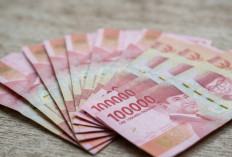 Resmi! BSU 2026 Cair Rp900 Ribu Oktober Ini ke Rekening Pekerja, Begini Cara Ceknya