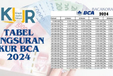 Ingin Pinjaman Ringan? Ini Tabel Angsuran KUR BCA 2024 Rp 35 Juta, Cek Syarat dan Tata Cara Pengajuan di Sini!