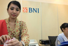 Usaha Kamu Butuh Dana Besar? KUR BNI Solusinya, Bisa Cair 200 Juta ke Rekening dengan Penuhi Persyaratannya...