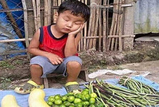 7 Weton ini Mempunyai Ilmu Penglaris Alami