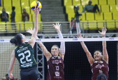 Top! Gresik Phonska Plus Lolos Grand Final Proliga 2026