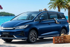 BYD M6 Hybrid Siap Masuk Indonesia, Diduga Saingi SUV Konvensional, Apa Saja Spesifikasinya?