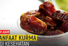 Buah Ajaib, Inilah Manfaat Kurma Bagi Kesehatan Aman Bagi Penderita Diabetes!