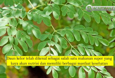 7 Penyakit yang Dapat diatasi dengan Konsumsi Daun Kelor, Nomer 5 yang Sering dialami