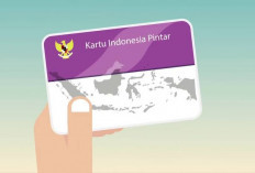 KIP Kuliah 2024, Program Pendidikan Pintar untuk Masa Depan Cerah: Cek Syarat dan Cara Daftar di Sini