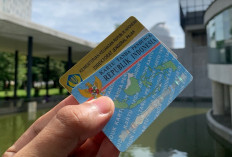 Waduh, Masih Ada 12 Juta WP “Bandel” Belum Padankan NIK dengan NPWP, DJP Ungkap Alasannya!