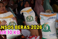 Bansos Beras 2026 Cair 10 kg! Cek Jadwal Distribusi dan Cara Cek Penerima di Sini