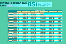 KUR BSI 2025: Solusi Modal Usaha Tanpa Riba, Tanpa Jaminan, dan Cicilan Ringan!