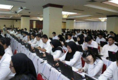 Siap-siap CPNS 2025, Lulusan SMA/SMK Bisa Duduki 16 Formasi Ini!