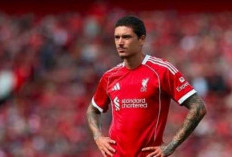 Inzaghi Boyong Penyerang Flop Liverpool dengan Mahar Rp 1,60 T