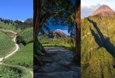 3 Wisata Alam Terindah di Boyolali Bukit Kinasih, Bukit Cilenguk, dan Gunung Bibi Wajib Dikunjungi!