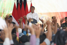 Lelang Jabatan Eselon I dan II Kementan Ramai Peminat, Dari Mana Saja Pelamarnya? Ini Datanya