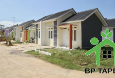 Program Tapera Wajib Bagi Karyawan Swasta Ditolak Buruh dan Pengusaha, Pak Bas Bilang Begini!