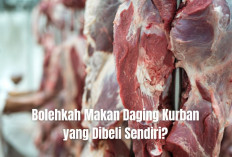 Bolehkah Makan Daging Kurban yang Dibeli Sendiri? Simak Penjelasannya Menurut Islam!