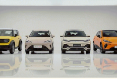 Daftar Harga Mobil Listrik Juli 2026 Dari City Car Termurah hingga SUV MPV Keluarga Premium