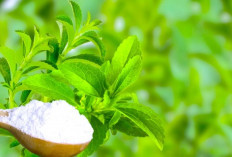 Cegah Diabetes! Daun Stevia Bisa Jadi Pengganti Gula Di Rumah Kamu Lho, ini Dia 7 Manfaatnya!