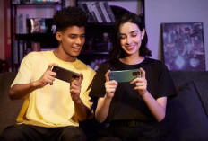 Benarkah Bermain Game Online dan Offline Dapat Menghilangkan Stres, Simak Faktanya di Sini...