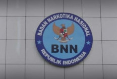 Loker Terbaru! BNN Buka Peluang Lulusan SMA, Ini Syaratnya..