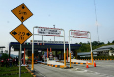 Bakal Diterapkan se-Indonesia, Pahami Cara Kerja Sistem Tol Tanpa Sentuh, Simak Penjelasan Lengkapnya!