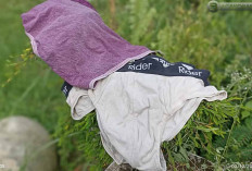 Jangan Gantung Sembarangan, Hati-hati Kena Pelet! 6 Khasiat Gaib Celana Dalam Bekas yang Belum Kamu Ketahui