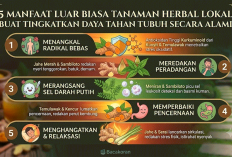 5 Manfaat Luar Biasa Tanaman Herbal Lokal Buat Tingkatkan Daya Tahan Tubuh Secara Alami