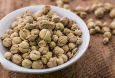 6 Manfaat Kapulaga yang Bisa Atasi Masalah Mulut dan Tubuh, Berikut Cara Mengonsumsinya