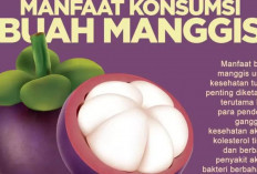 Wow, Inilah 5 Manfaat Buah Manggis untuk Kesehatan yang Perlu Kamu Ketahui, Apa Saja?