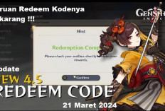 Update 4 Kode Redeem Genshin Impact Terbaru, Klaim dan Dapatkan Hadiah Primogems Gratis Hari ini...