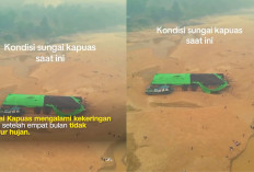 Sungai Kapuas Kering Kerontang Setelah 4 Bulan Tak Hujan, Tongkang Terdampar & Warga Berwisata di Dasar Sungai