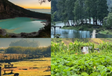 Ciwidey Bikin Nagih! 4 Spot Hidden Gems yang Viral, Dijamin Gak Mau Pulang, Guys!